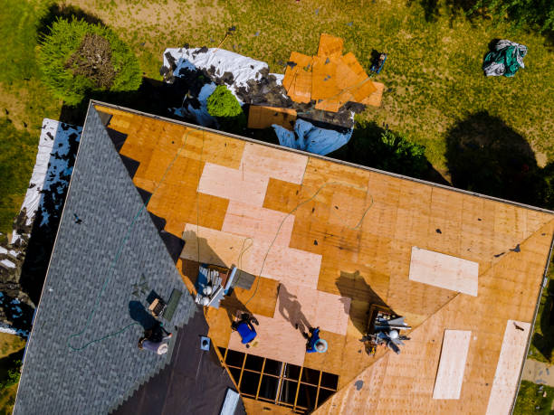 Best Metal Roofing Contractor  in Tylertown, MS